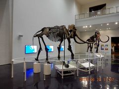 ゴトラさんの北海道博物館への投稿写真1