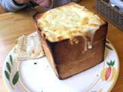 もーちゃんさんのざぼんの投稿写真1