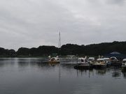 鶴亀松竹梅扇さんの庄内緑地の投稿写真5