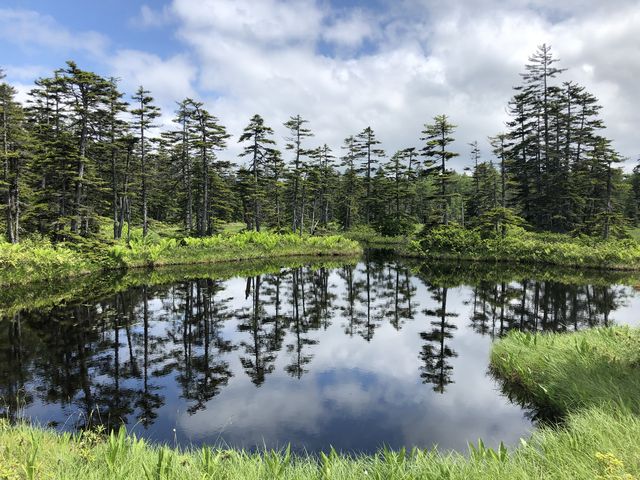 お天気が良かったので沼に映る景色が素敵_浮島湿原