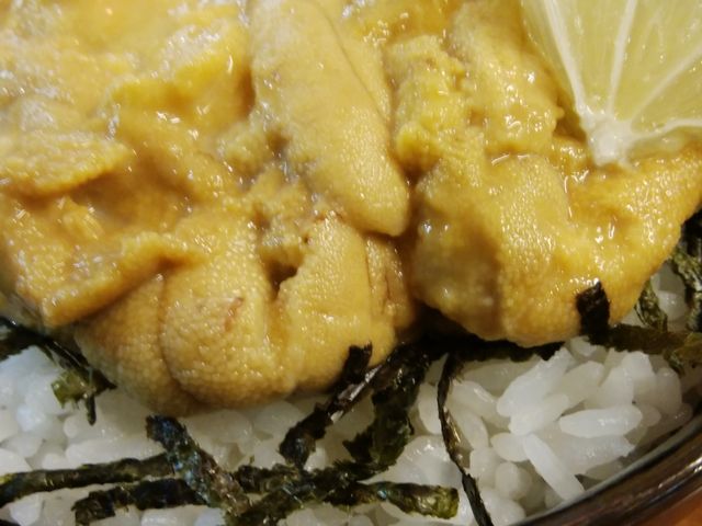 生うに_どんぶり茶屋