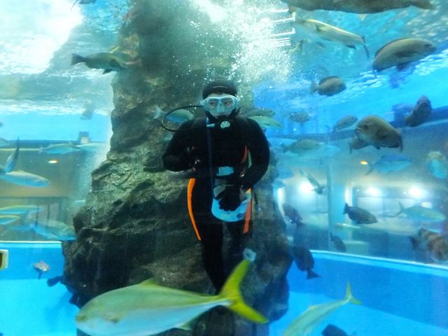 魚津水族館