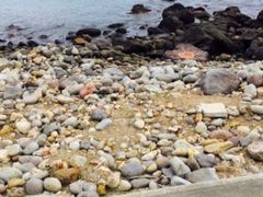 sumiさんの海中温泉への投稿写真1