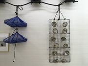 アジのタタキさんの琉球真珠の投稿写真2