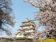 みきちんさんの千葉城跡の投稿写真1