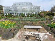 みきちんさんの爪木崎花園の投稿写真1