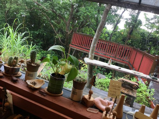 店内から外を見てたら(^o^)o_樹之香