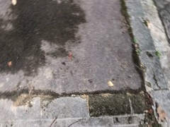 南相馬市馬事公苑の写真1