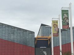 海遊館の写真1