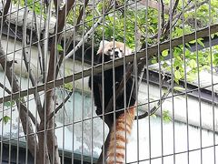 夢見ケ崎動物公園の写真1