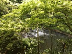 鶴仙渓の写真1