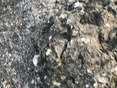 風穴の写真1