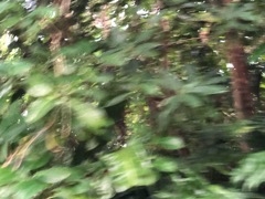 山形蔵王温泉スキー場の写真1