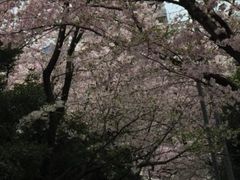 鷲尾愛宕神社の写真1