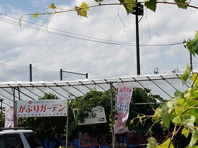 集合場所、食べ放題した場所_がぶりガーデン