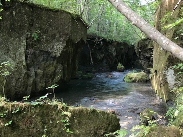 冷たそうな川が流れていました_樽前ガロー