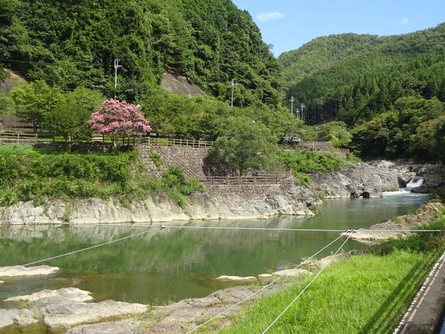 篠山川_川代公園