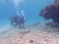海宝館シーブルームの写真2