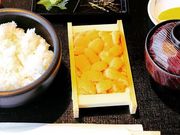 マヤバーさんの道の駅 あぷたの投稿写真2