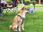 コロ選手さんのオートリゾート苫小牧アルテンの投稿写真2