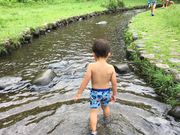 みちゃこさんの相模川自然の村公園の投稿写真1