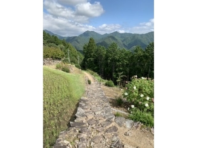十津川へ_熊野参詣道 小辺路 (果無越え)