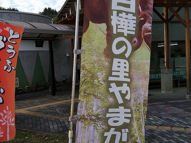 のぼり_道の駅 白樺の里やまがた