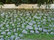 マヤバーさんの中津城(奥平家歴史資料館)の投稿写真3