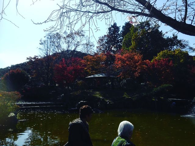 池の回りの紅葉です_ゆうきや桜山店