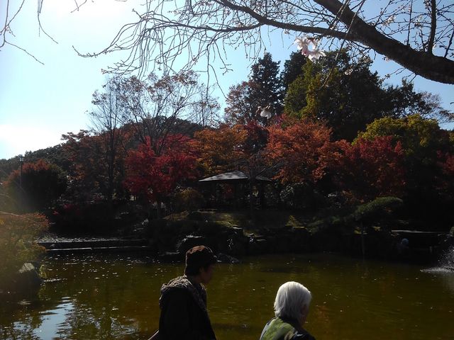 池の回りの紅葉です。_ゆうきや桜山店