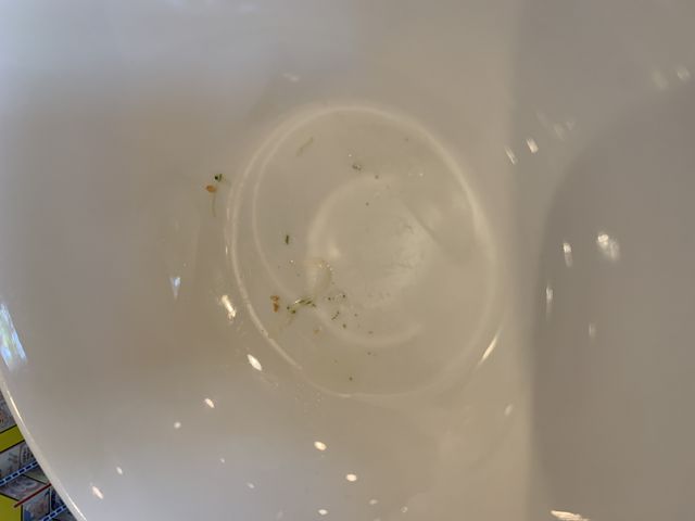 汚れていたお皿です。_バーミヤン 大正千島店