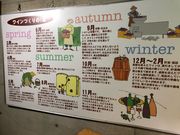 ガチャコさんの奥出雲葡萄園の投稿写真1
