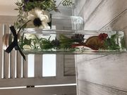 ふうさんのAZABU ROSE ROOMの投稿写真2