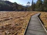 ike55jpさんの黒沢湿原の投稿写真1