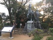 ike55jpさんの高知公園の投稿写真1