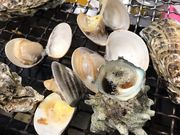 anegoさんのひろちゃんカキの投稿写真1