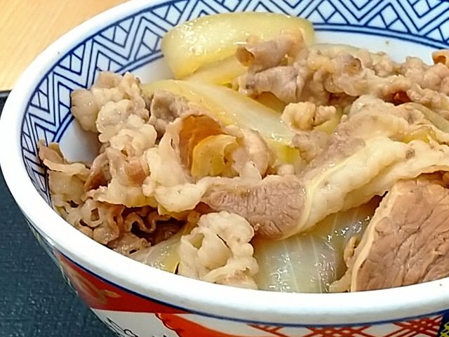 The 並盛_吉野家大垣店