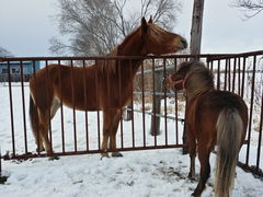 ゆみさんのM's stableへの投稿写真2