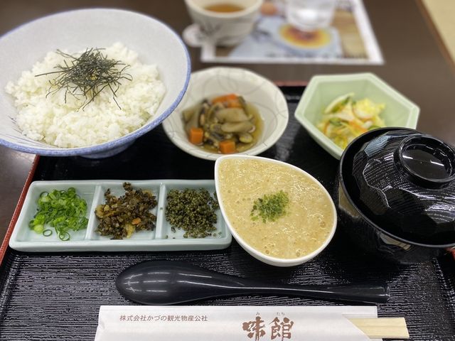 とろろ丼_道の駅かづの レストラン&ダイニング MITACHI