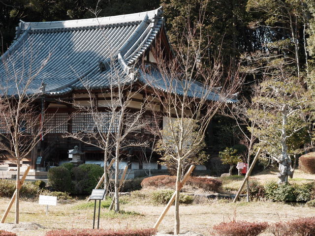 懐かしいのどかさがたまりません。_観音寺(普賢寺大御堂)