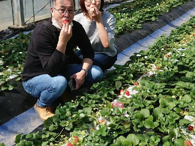 農園のご主人から「写真とりましょうか?」と言っていただき、自分の携帯で写してもらった写真です。_まるとみ農園(丸富農園)