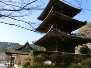 やんまあさんの園城寺塔婆三重塔の投稿写真1