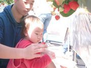 まぁちゃんさんのなるベリーファームの投稿写真5