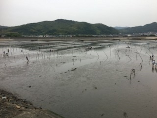 干潮2時間前_西幡豆・鳥羽海岸の潮干狩り