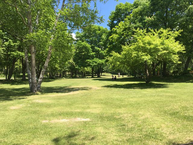 マレットゴルフ_八ヶ岳自然文化園