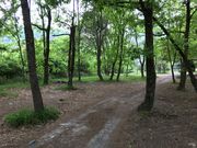 TAKAさんの柳瀬キャンプ場の投稿写真1