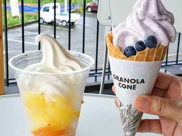 プラムのフロート&ブルーベリーのソフトクリーム_悴田梨園