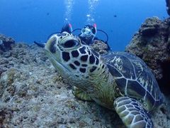 ザキヤマさんのDIVING SHOP RYAAANへの投稿写真2