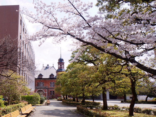 礼拝堂の東からクラーク記念館
桜の咲いてた時_同志社大学 今出川キャンパス
