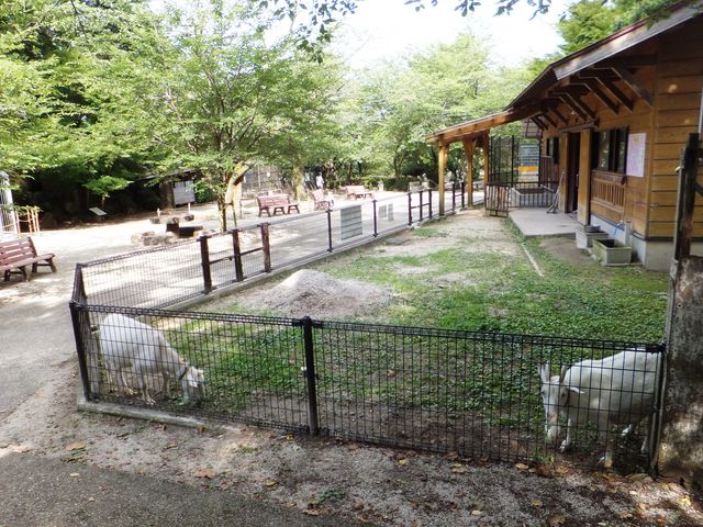 打吹公園小動物園